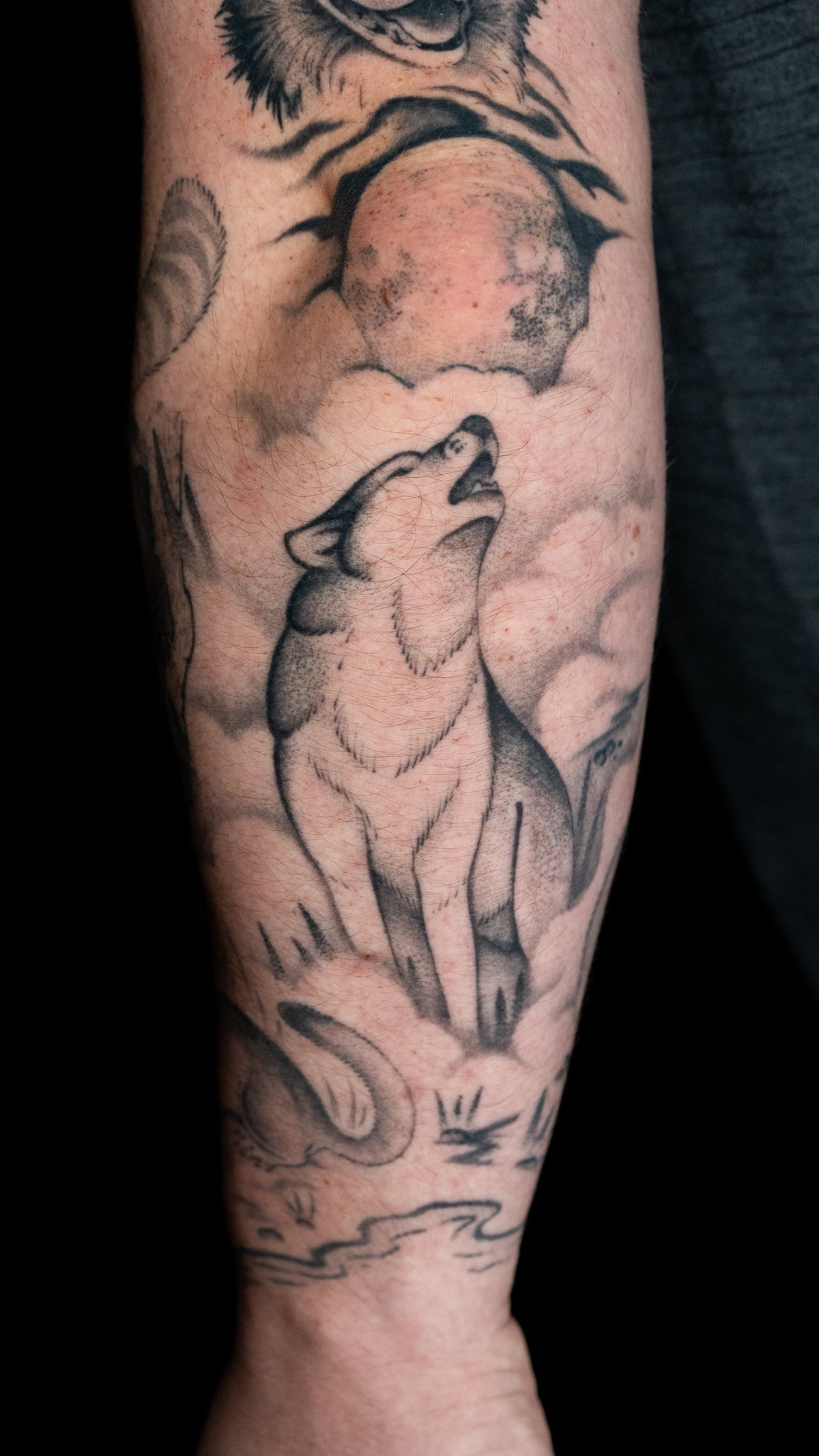 A Walk on the Wild Side: Shawn’s Animal Tattoo Collection