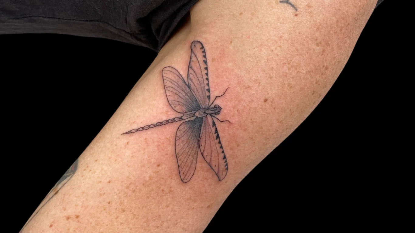 Compact Canvas: Small Tattoos