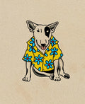 $PUD flash design by Craig Brock
