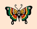 Moth flash design by Michel Parisay