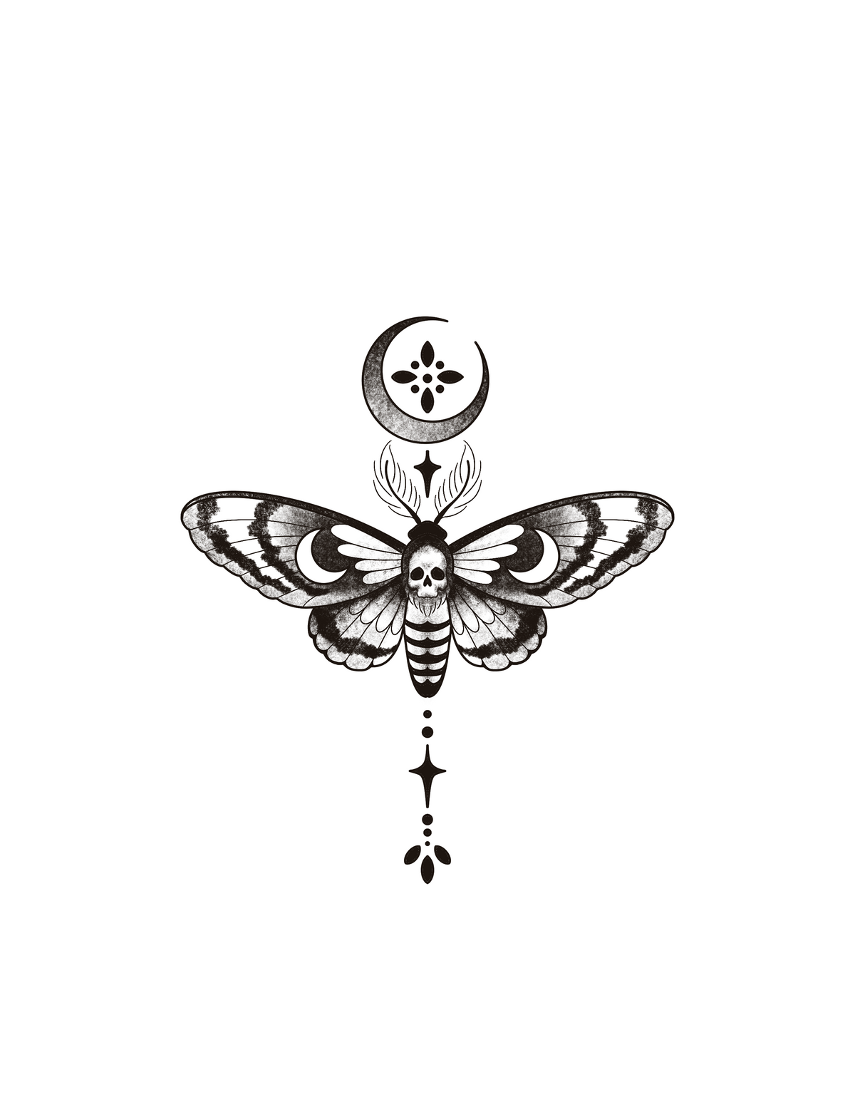 Moth