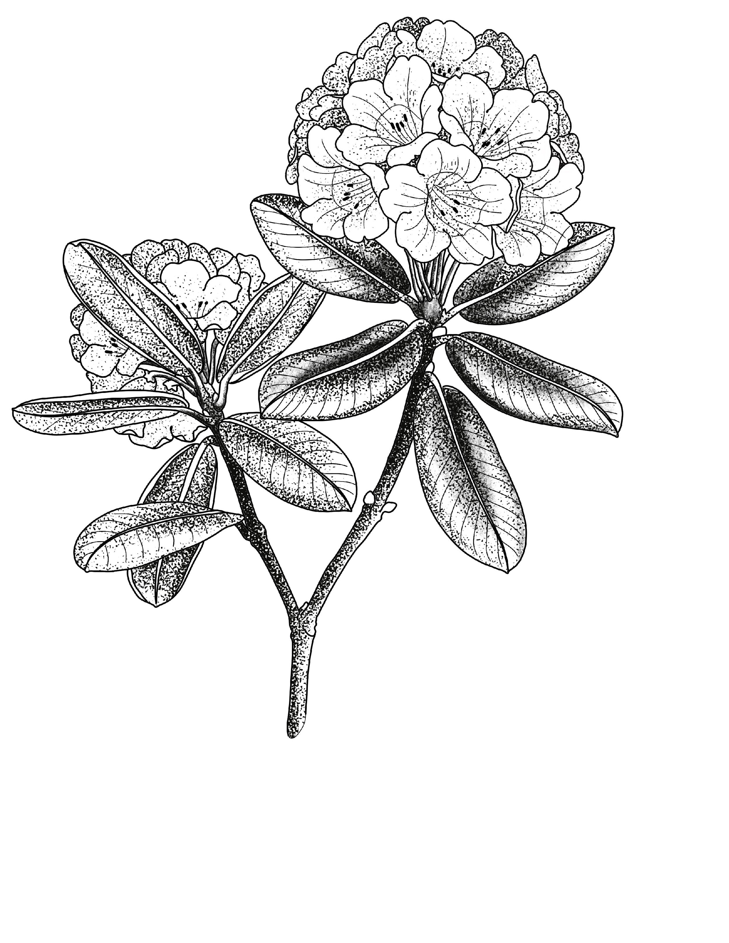 Floral flash design by Amber Grey