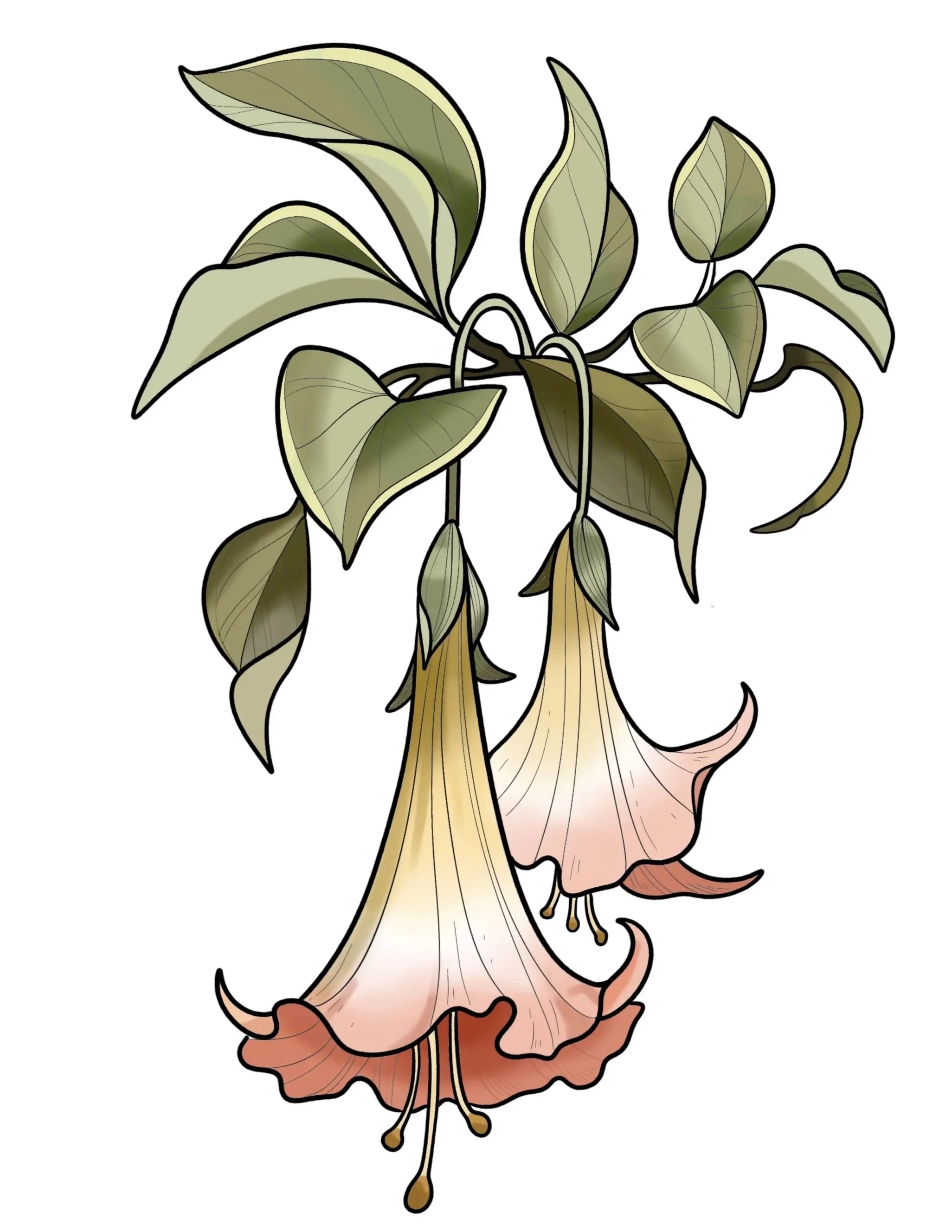 Angel's Trumpet flash design by Mel Perlman
