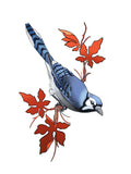 Bird 4 flash design by Mel Perlman
