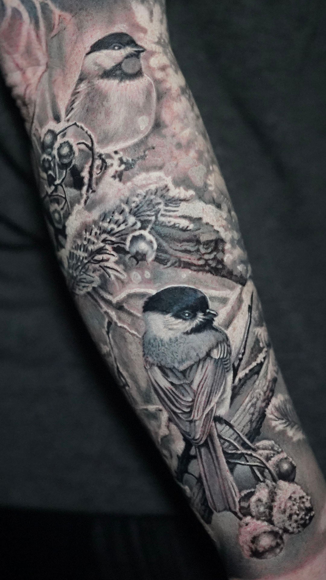 Animals & Nature