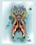 Death Head Moth