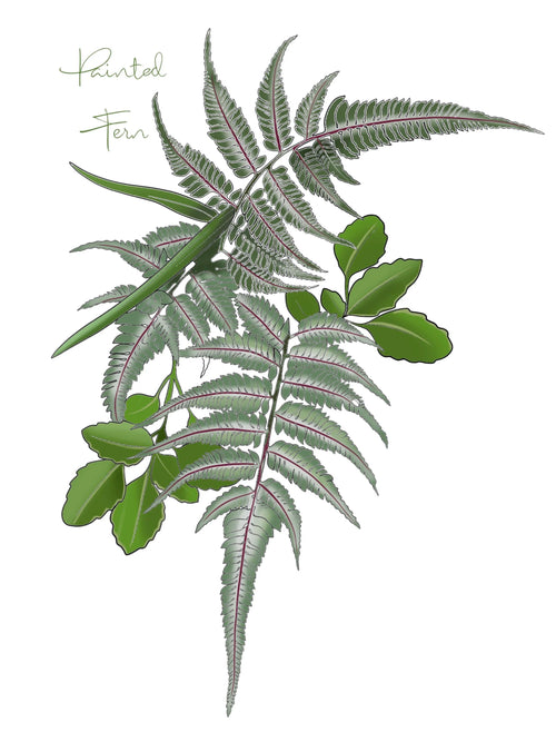 Ferns flash design by Mel Perlman
