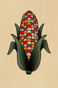 Flint Corn flash design by David Irizarry (Izzy)