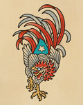 Gallo Macho flash design by David Irizarry (Izzy)