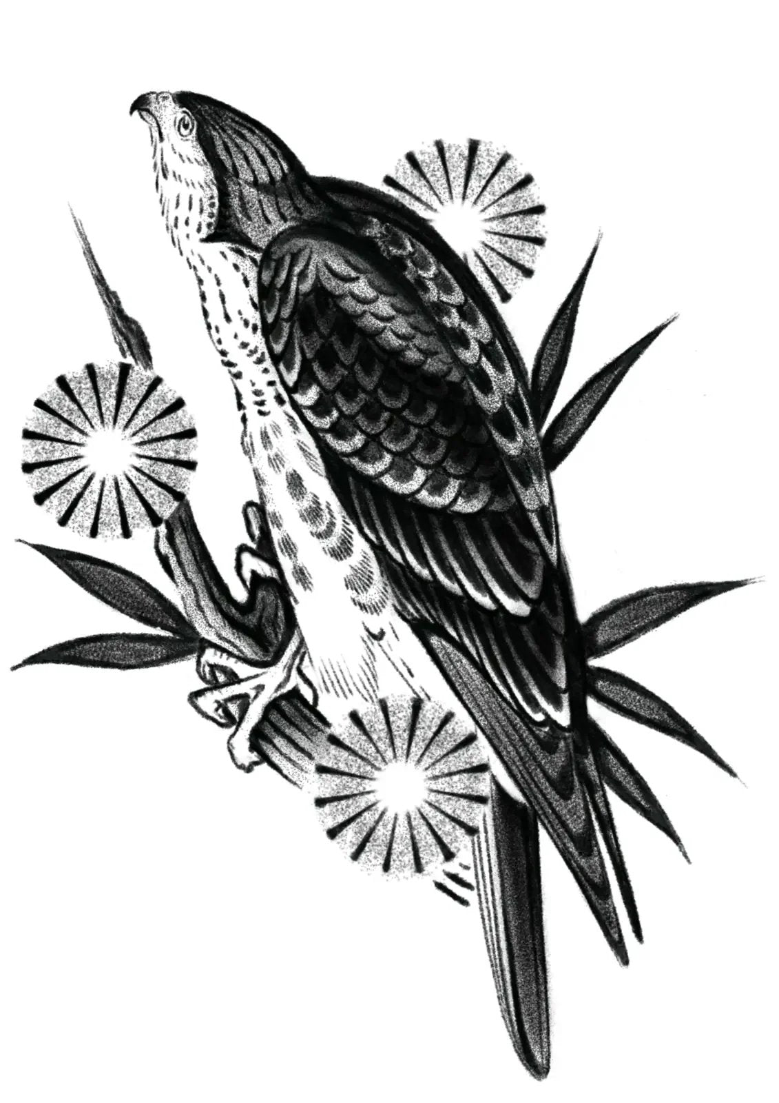 Hawk flash design by Mark Kalinskiy