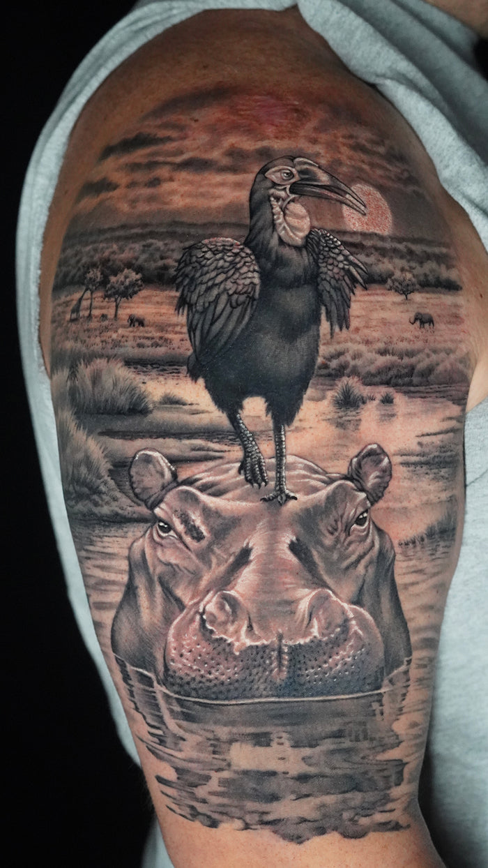 Animals & Nature