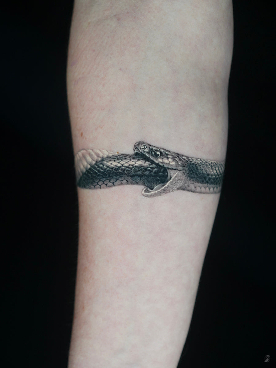 Animals & Nature