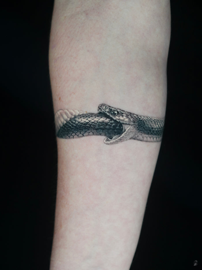 Animals & Nature