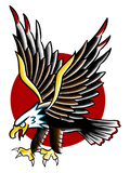 Mini Eagle flash design by Brian Bennett