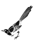 Magpie