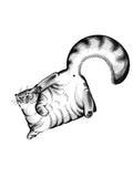 Square-dy Cat