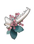 Jaw Bone