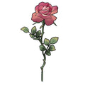 Flowers flash design by Mel Perlman