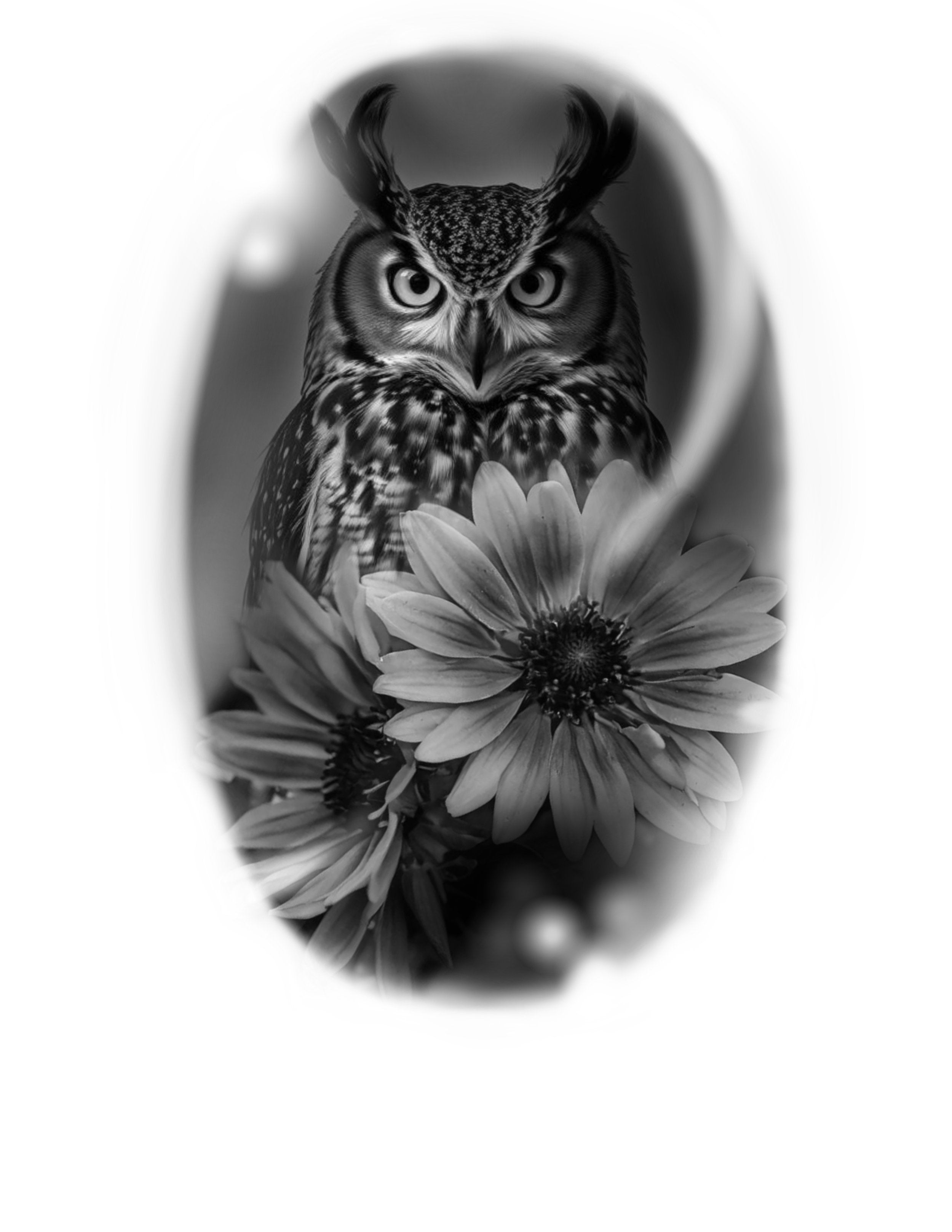 Owl flash design by Matt Perlman