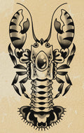 Lobster flash design by Bryn Riihimaki