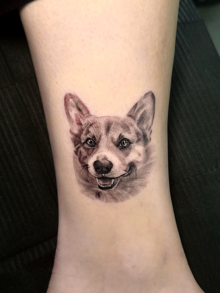 Pet Portraits & Pawprints