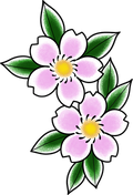 Pink Cherry Blossom flash design by Brian Bennett