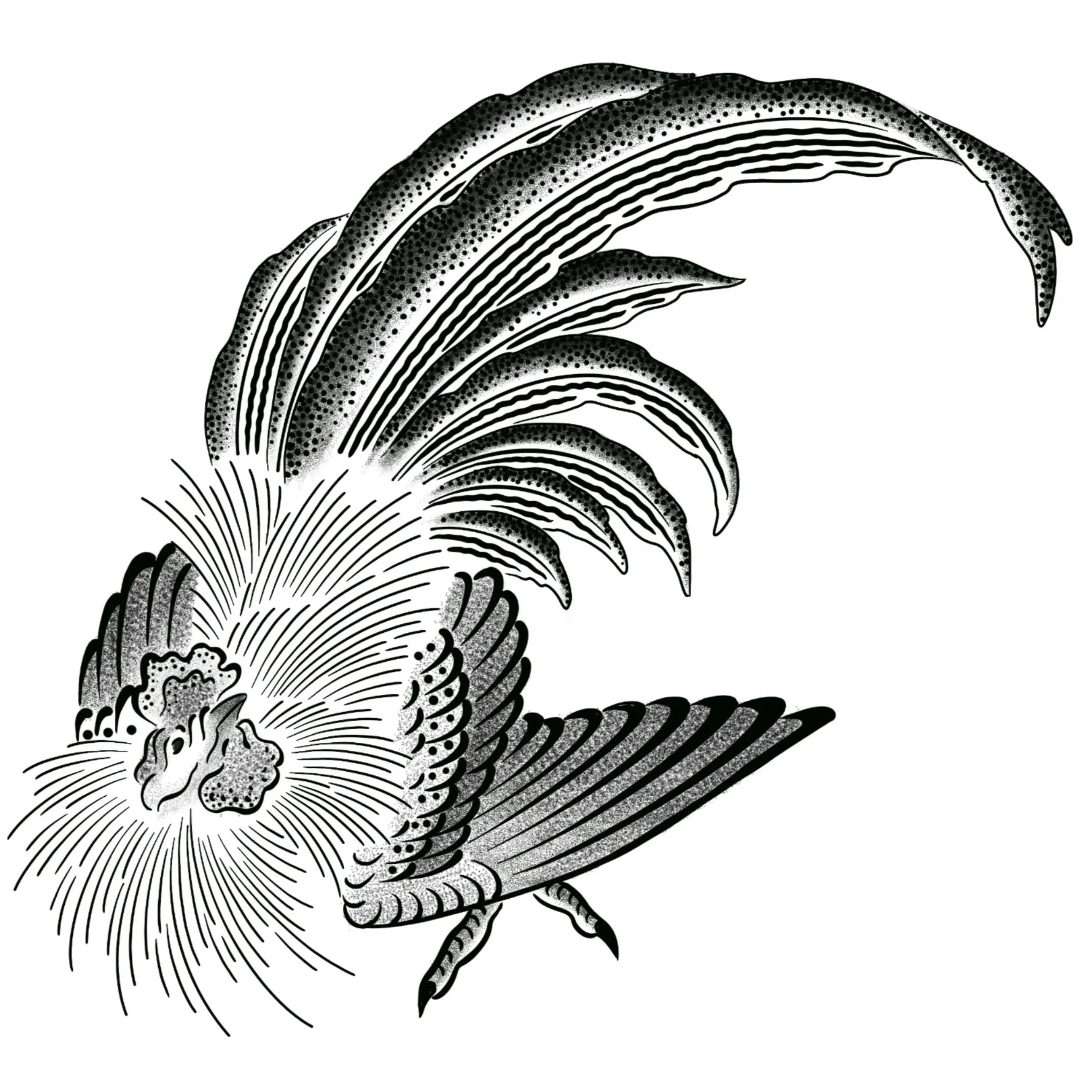 Rooster flash design by Mark Kalinskiy