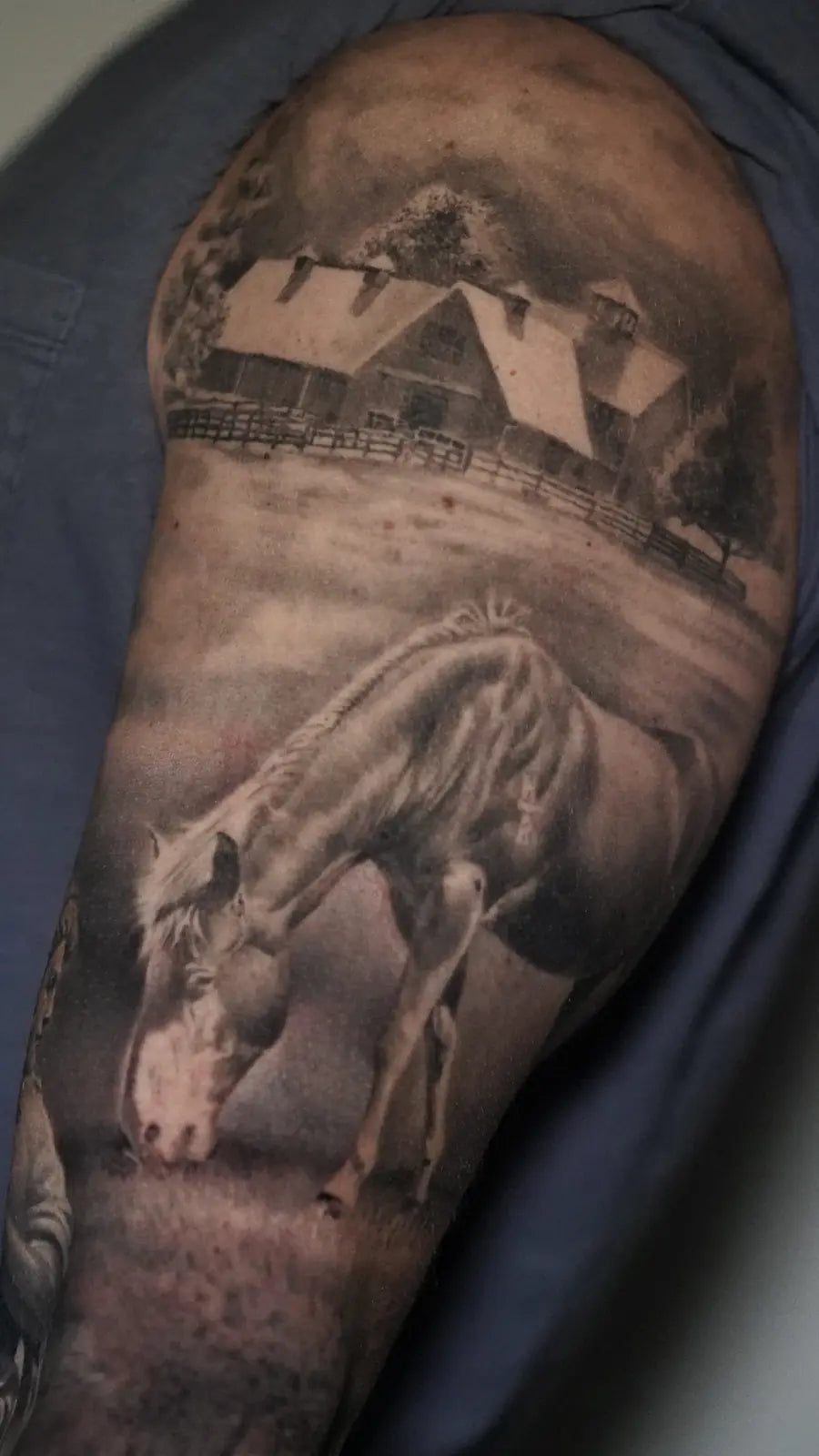 Full Arm Sleeves