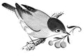 Small Bird flash design by Mark Kalinskiy