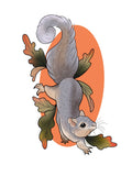 Squirrel flash design by Mel Perlman