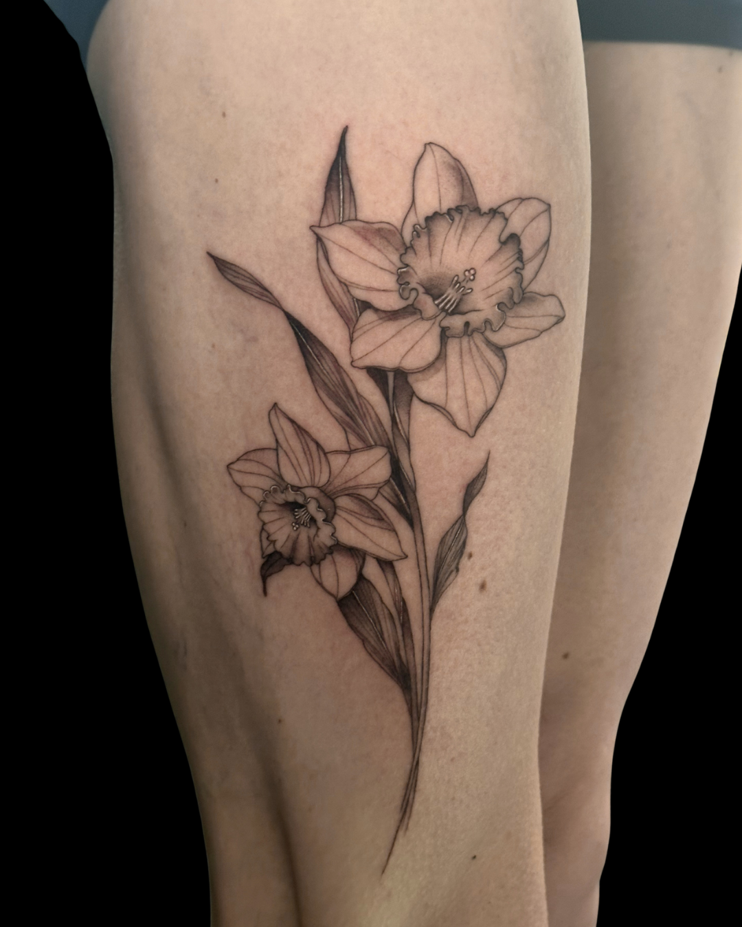 Fine Line Florals
