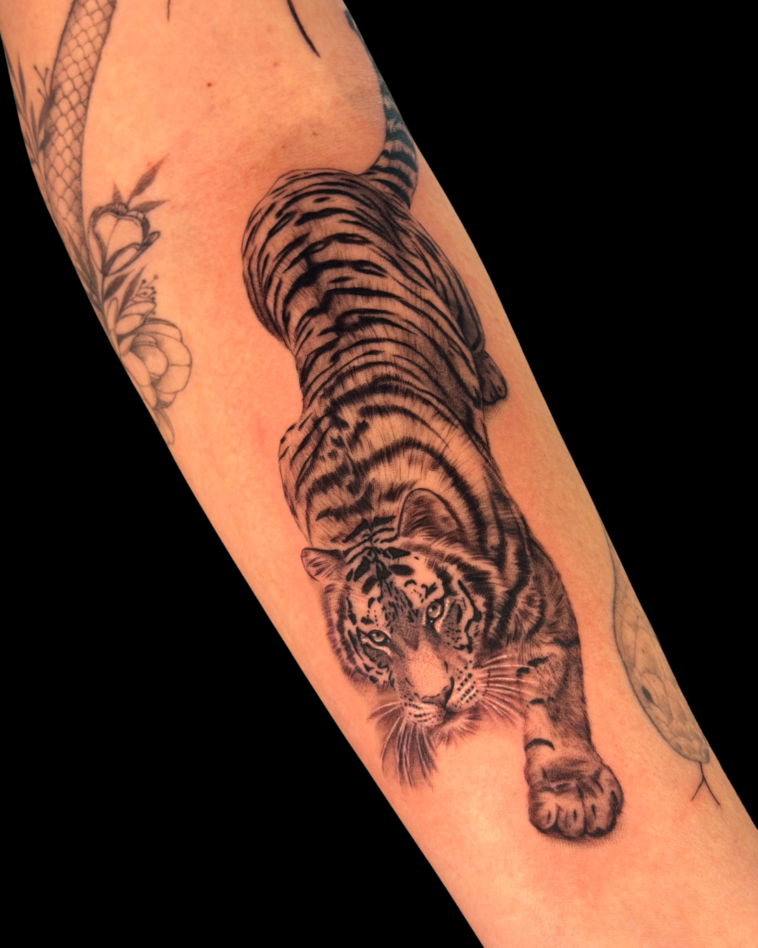 Animals & Nature
