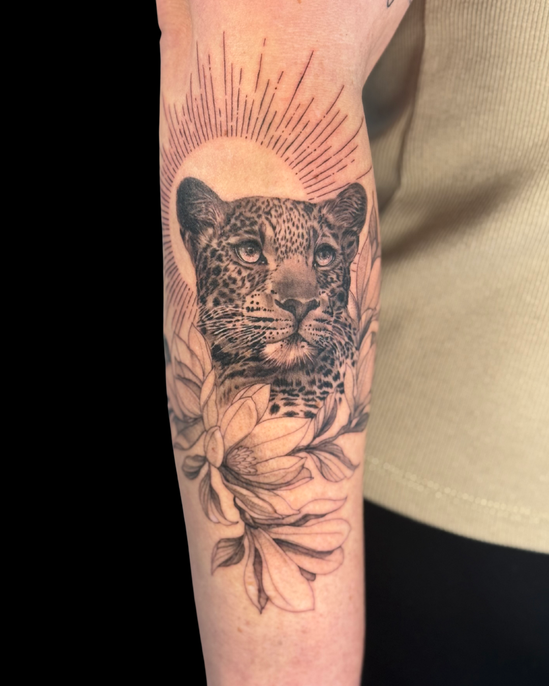 Animals & Nature