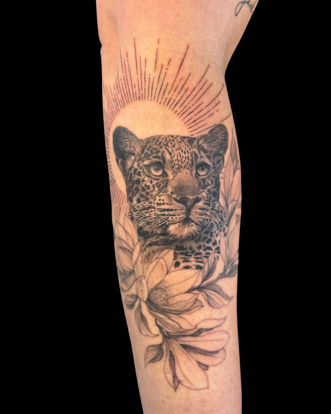 Animals & Nature