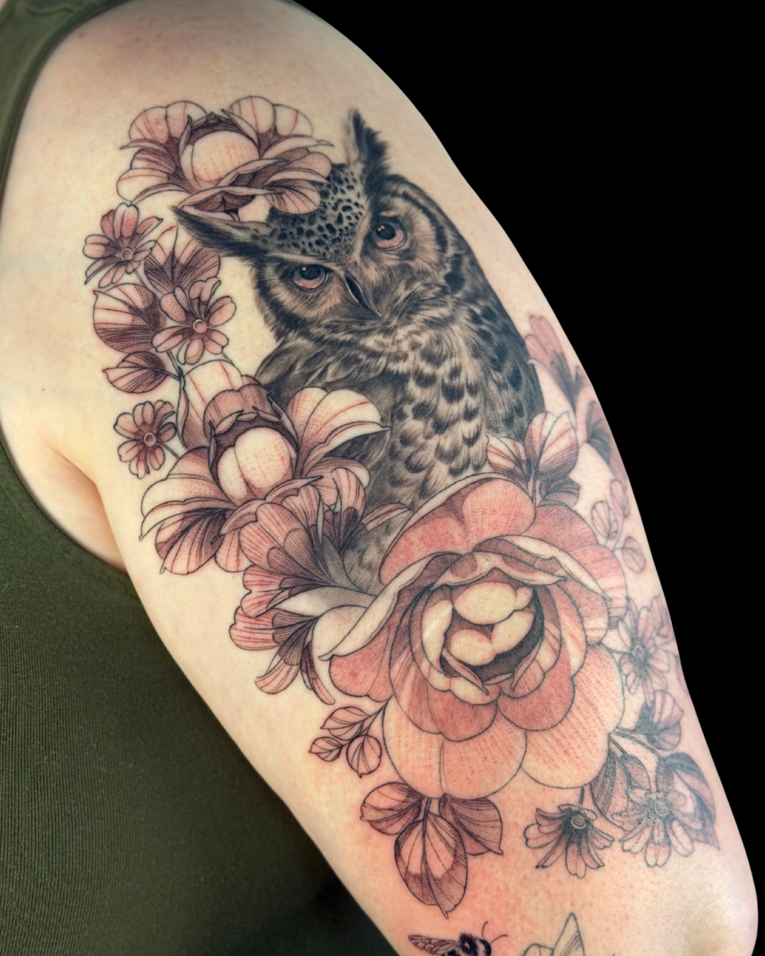 Animals & Nature