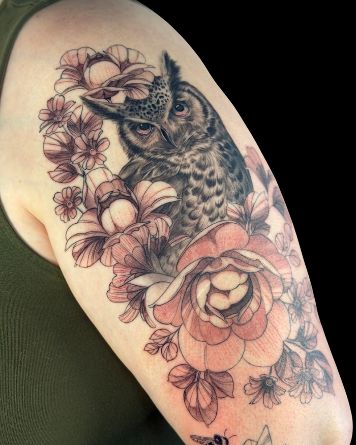 Animals & Nature
