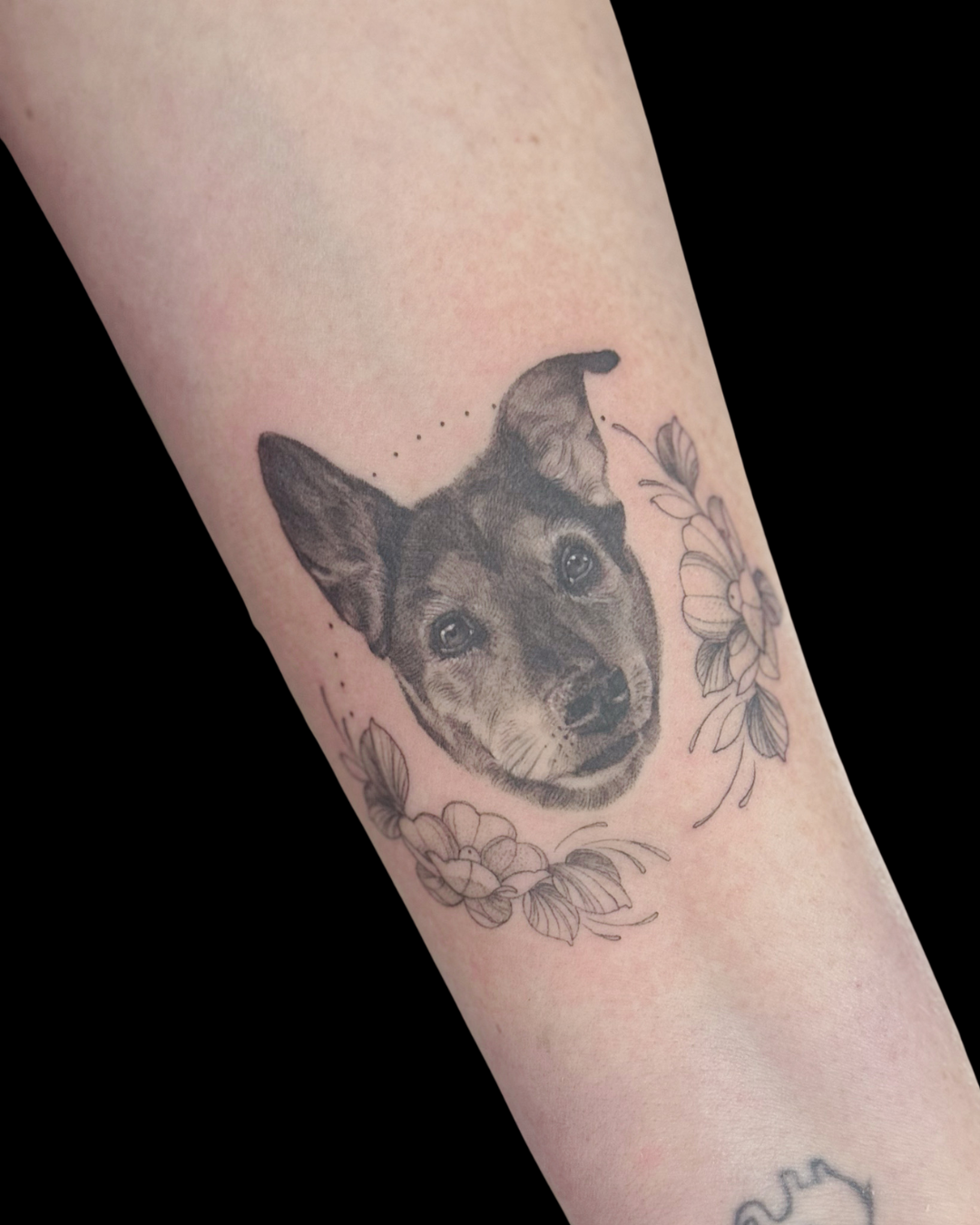 Pet Portraits & Pawprints