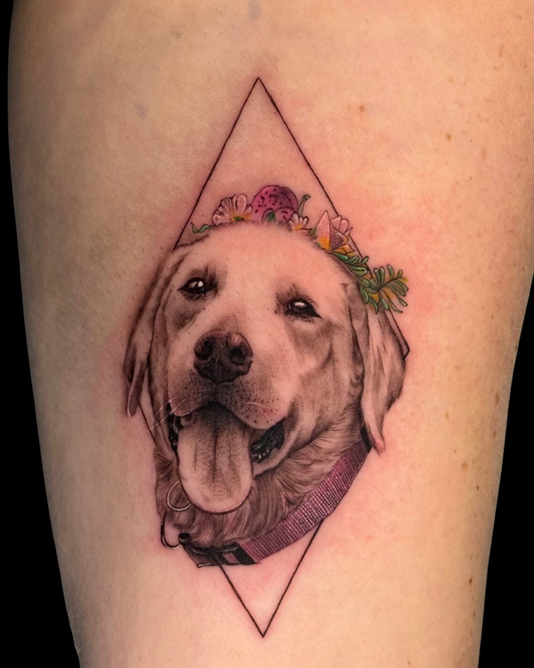 Pet Portraits & Pawprints