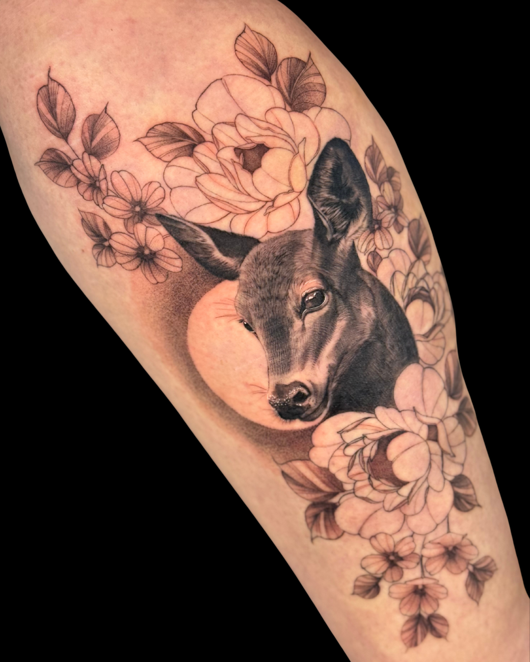 Animals & Nature