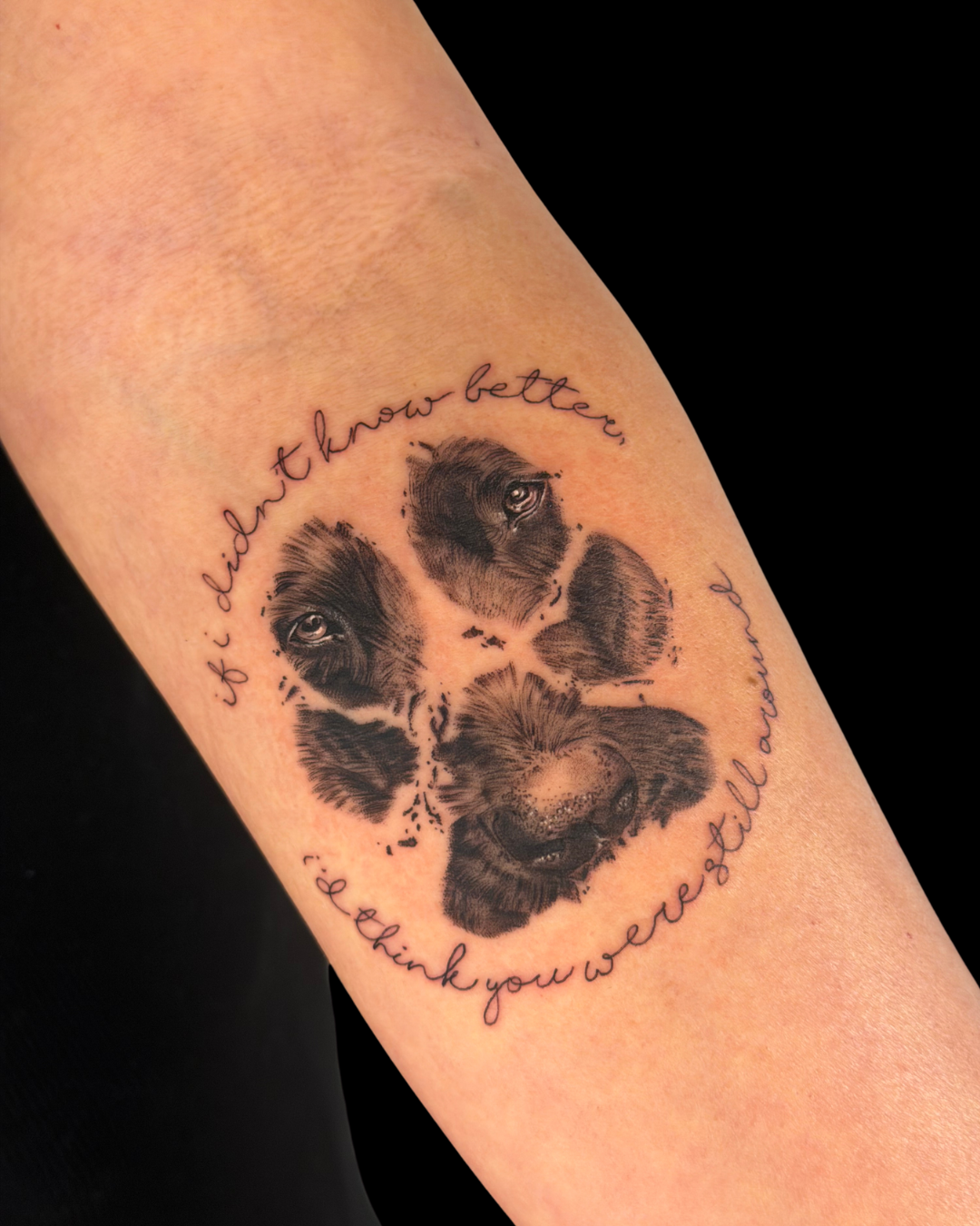 Pet Portraits & Pawprints
