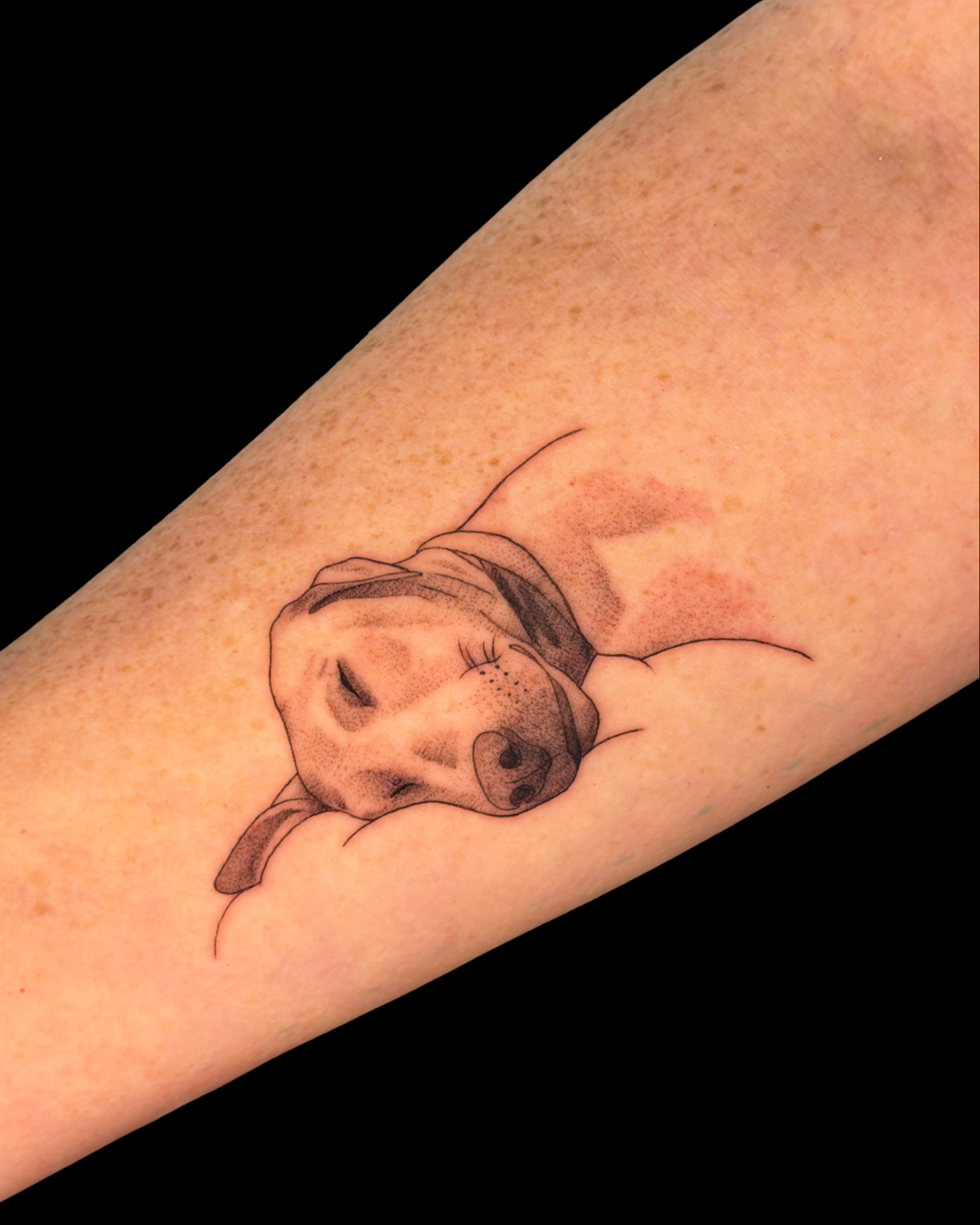 Pet Portraits & Pawprints