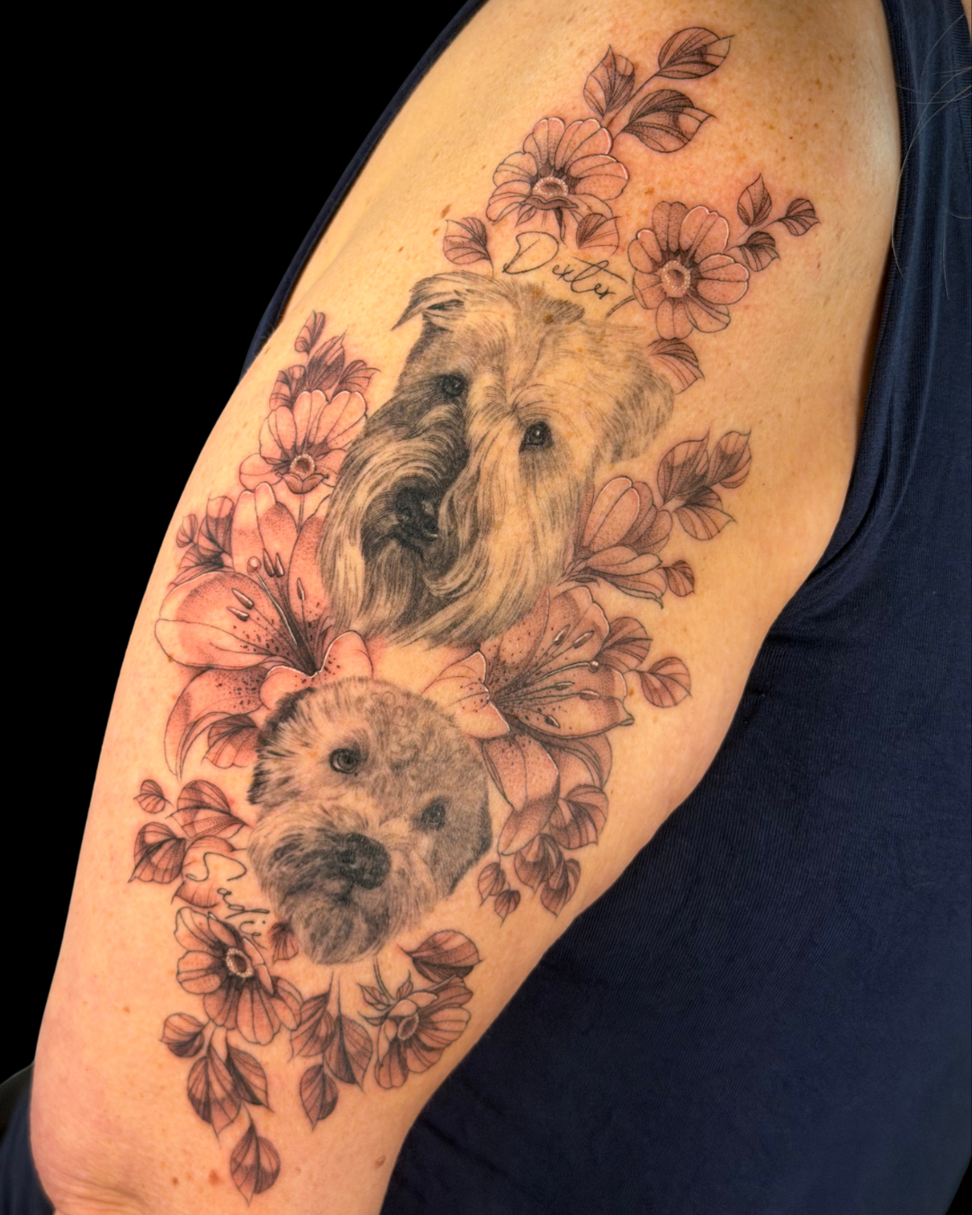 Pet Portraits & Pawprints