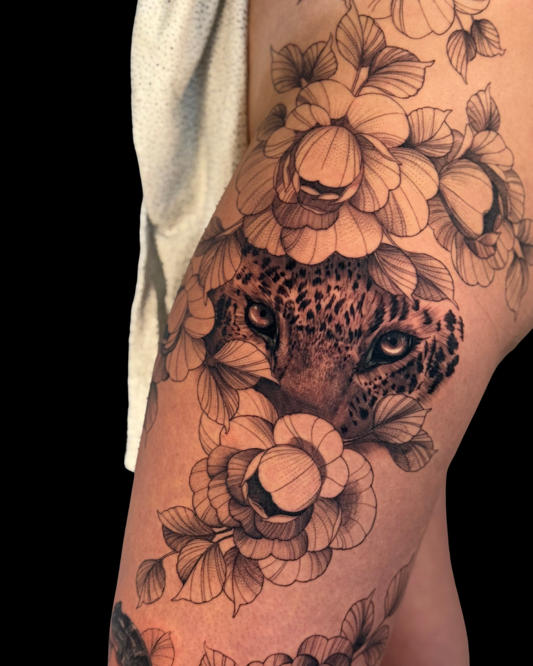 Animals & Nature