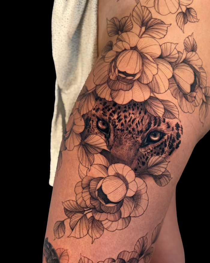Animals & Nature