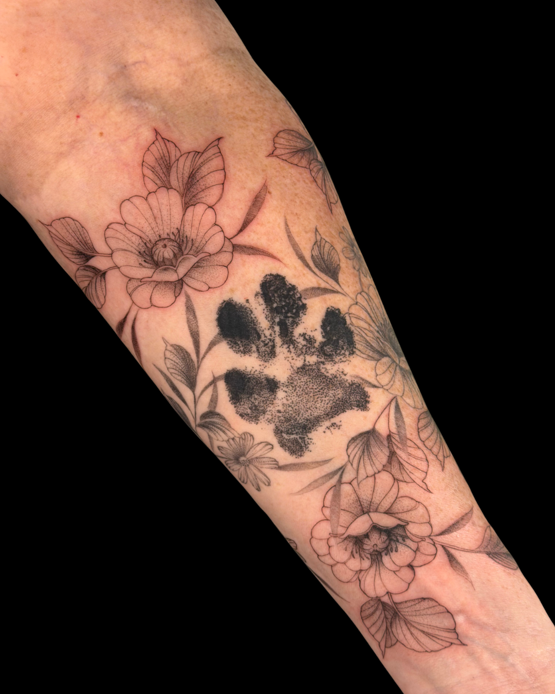 Pet Portraits & Pawprints