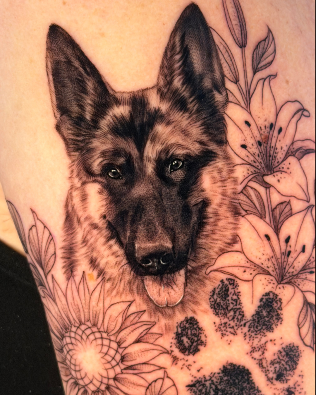Pet Portraits & Pawprints