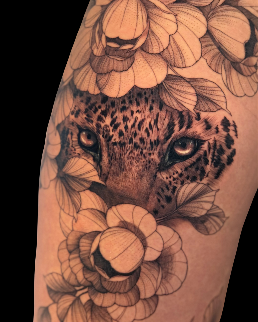 Animals & Nature