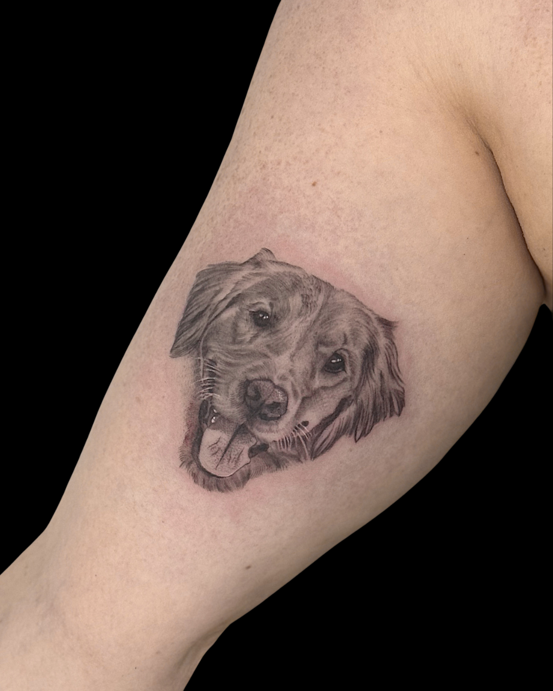 Pet Portraits & Pawprints