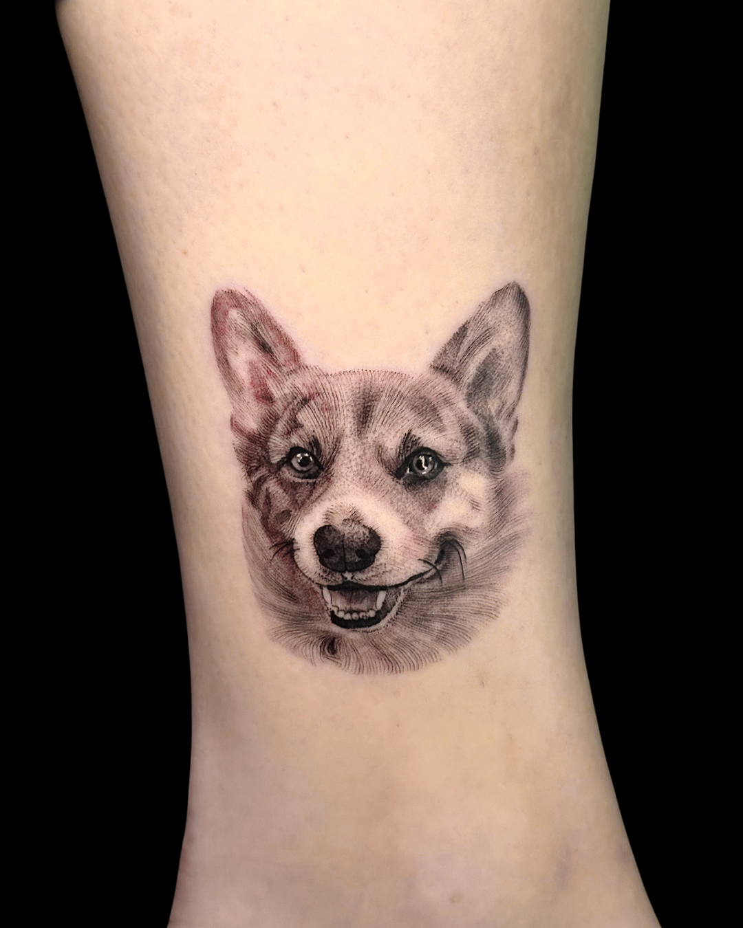 Pet Portraits & Pawprints