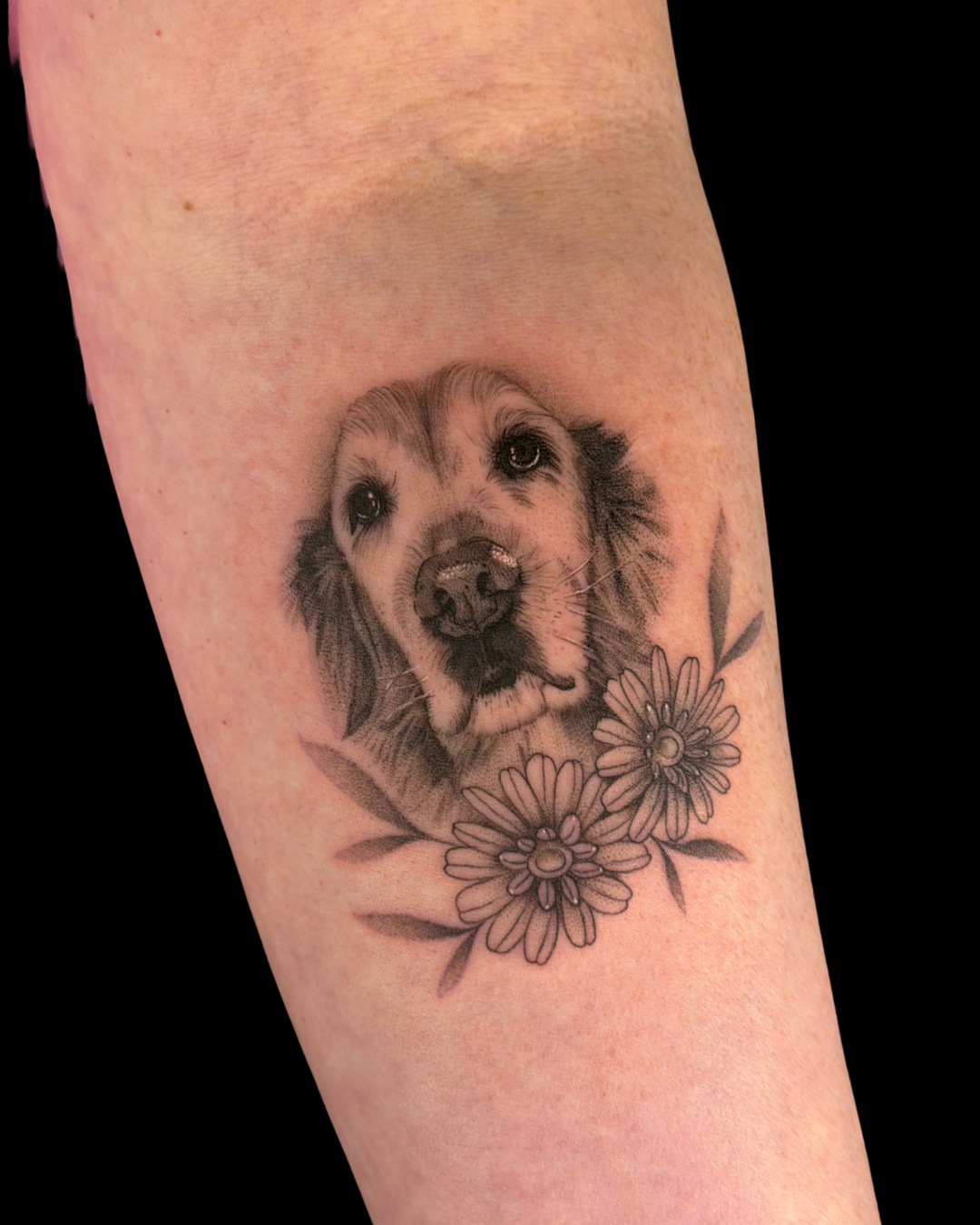 Pet Portraits & Pawprints